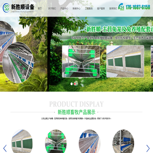 兔笼,新型兔笼,欧式兔笼,养猪设备