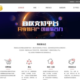 达安：达安集团,达安运维