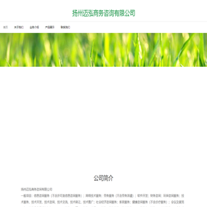 扬州迈泓商务咨询有限公司