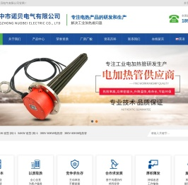 扬中市诺贝电气有限公司