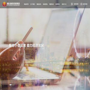 贷款担保,票据承兑担保,贸易融资担保,项目融资担保,信用证担保