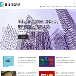 大成泽知知识产权团队