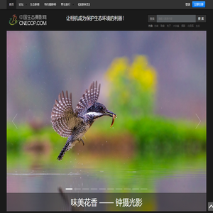 中国生态摄影网