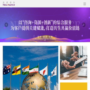 新盟国际