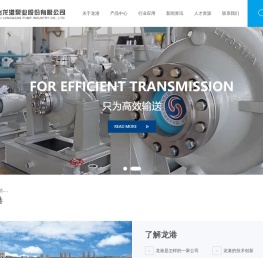 烟台龙港泵业股份有限公司