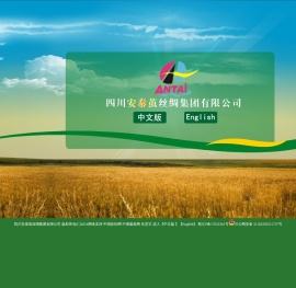 四川安泰茧丝绸集团有限公司