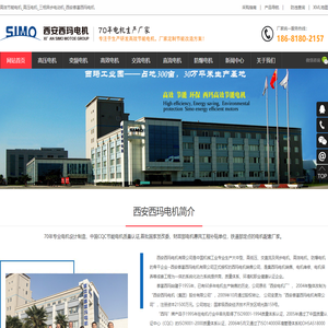 西安泰富西玛电机