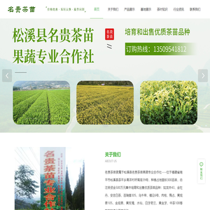 松溪县名贵茶苗果蔬专业合作社