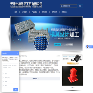 天津市德恩思工贸有限公司