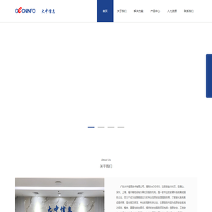 广东大中信息技术有限公司