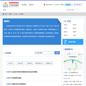 汤山街道政务服务网