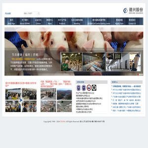 广东德兴食品股份有限公司