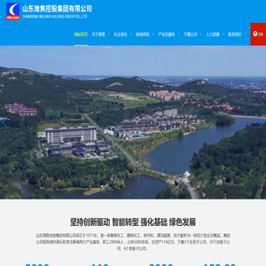 山东潍焦控股集团有限公司