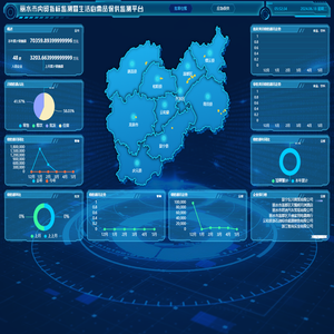 丽水市内贸指标监测暨生活必需品保供监测平台