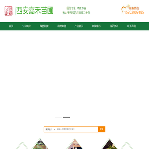 西安办公室花卉租摆