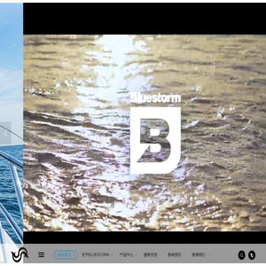 BLUESTORM中国