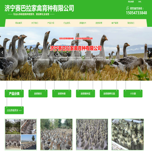 朗德鹅苗,养殖场,价格