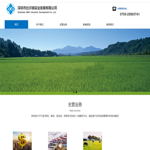 深圳市比尔瑞实业发展有限公司