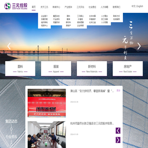 三元控股集团有限公司
