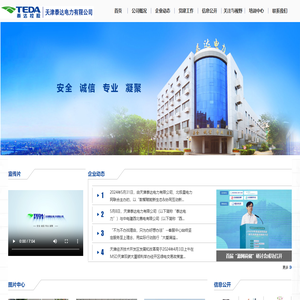 天津泰达电力有限公司