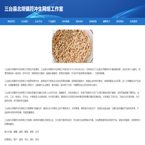 三台县北坝镇符冲生网络工作室