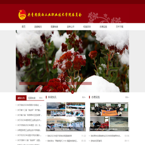 共青团陕西工业职业技术学院委员会