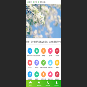 泰安市海峡国际旅行社有限公司