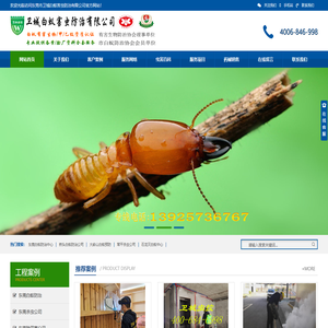 东莞白蚁防治中心