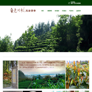 老川茶网