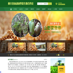 西丰县山魂山野菜专业合作社