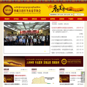 西藏自治区冬虫夏草协会