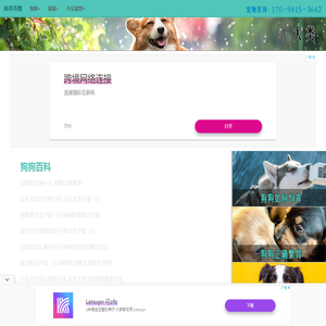 疯乖乖圈宠物网