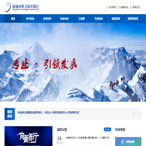 成都市电子商务协会