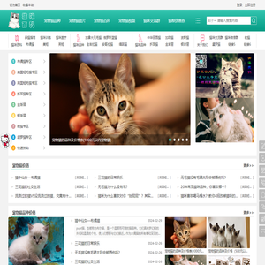 宠物猫论坛