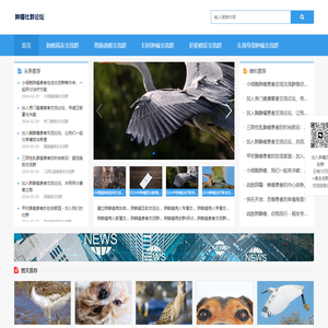 癌症病友群与论坛交流平台