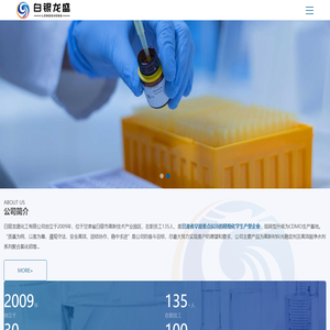 白银龙盛化工有限公司