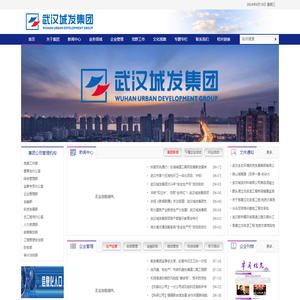 武汉城市发展集团有限公司
