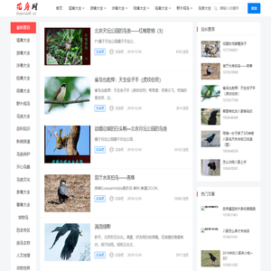 花鸟吧专注鸟类爱护