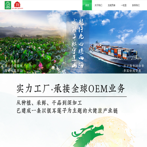 龙威贡牌一粒莲有机本草莲果耳手工通芯莲子建宁特产出口品质20年