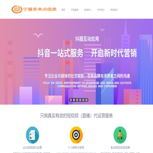 宁夏多来点信息技术有限公司