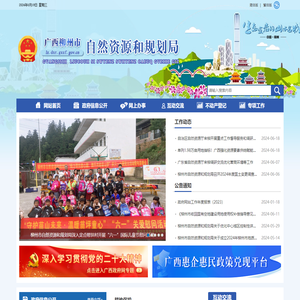 广西柳州市自然资源和规划局网站