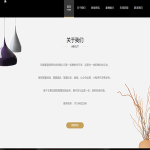 河南掌易网络科技有限公司