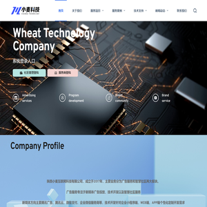 陕西小麦互联网科技有限公司