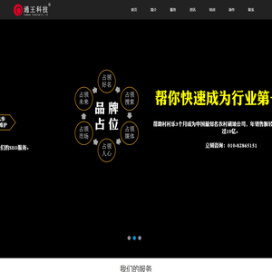 SEO·品牌推广·网络营销策划·王通