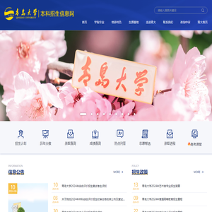 青岛大学本科招生信息网