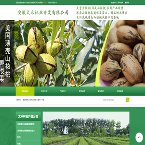 安徽太禾林业开发有限公司