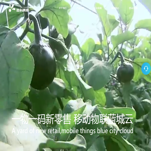 新零售系统解决方案,服务热线：022