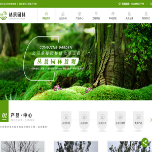 河南丛生朴树批发