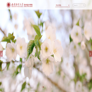 南京财经大学艺术设计学院