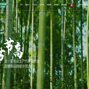 浙江节节高炭业有限公司